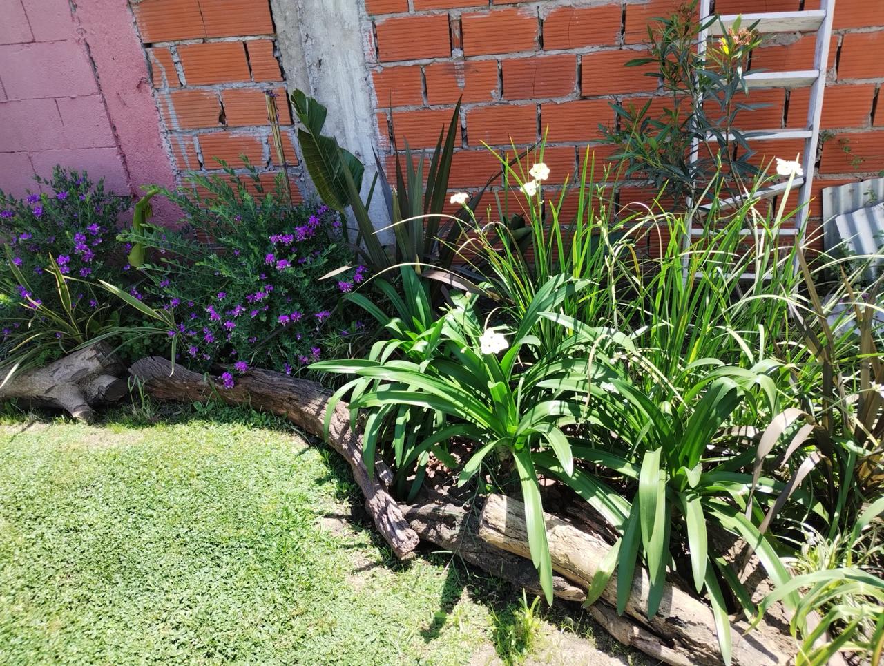 diseño de jardines con pileta zona norte buenos aires
